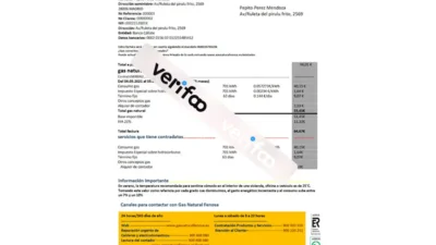 Spain gasNatural fenosa utility bill template