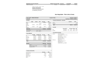 USA Hinden & Breslavsky PayStub Word And PDF Template (2 Pages)