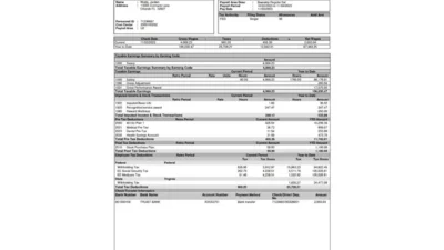 USA Frito-Lay Paystub Word And PDF Template