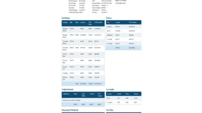 USA Apex Payroll Word And PDF Template (2 Pages)