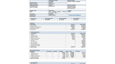 USA Kaiser Foundation Hospitals Pay stub Template In Word And PDF Format