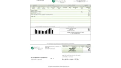 USA Deep East Texas Electric Utility Bill Template
