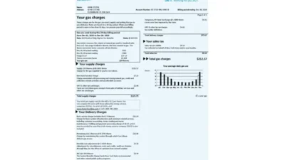 USA Con Edison Gas Utility Bill Word And PDF Template