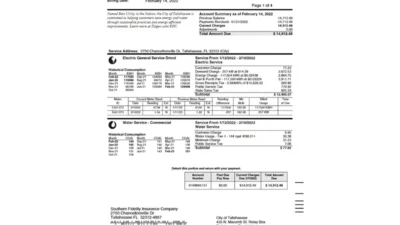 Florida Business Energy Utility Bill Template