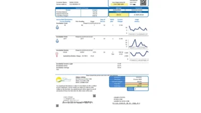 USA Georgia City Of Albany Water And Electricity Utility Bill Word And PDF Template
