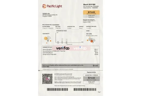 Singapore Pacific Light Bill PSD Template