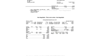 USA AZ Specialty Dental Services LLC Paystub Word And PDF Template (2 Pages)