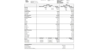 USA Emergent Product Development Gaithersburg Inc PayStub Word And PDF Template