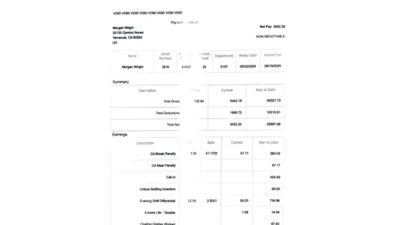 USA Palomar Health Paystub Word And PDF Template (6 Pages)