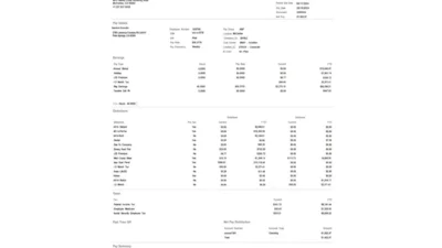 USA REACH Air Medical Services Pay Stub Word And PDF Template