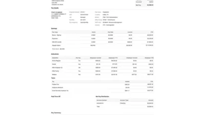 United States FORVIS LLP Paystub Template In Word And PDF Format