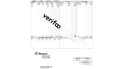 Bristow Group Inc Paystub Template in word and PDF Format