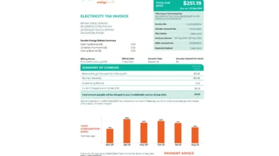 Singapore Senoko Energy Invoice Template in Word and PDF Format