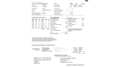 USA Columbia Gas Of Ohio Utility Bill Word And PDF Template