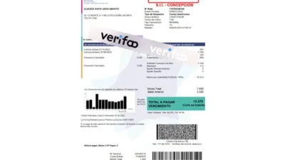Chile Water Utility Bill Word And PDF Template