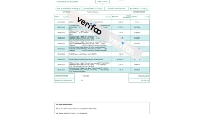 SNB Bank enterprise statement Word and PDF template