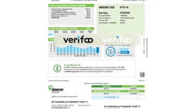 Ameren Missouri Utility Bill Template