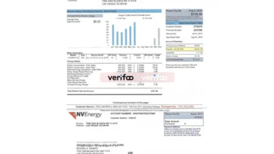 Nevada NVEnergy Bill Template Free Download