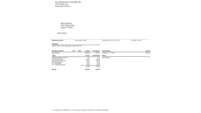 USA ALT FINANCIAL NETWORK INC PayStub Word And PDF Template (3 Pages)