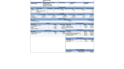 USA MetLife Pay Stub Word And PDF Template