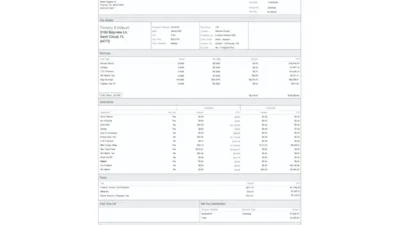 USA Coulson Aviation Paystub Word And PDF Template