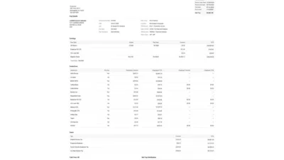 United States Pay Stub Template in Word and PDF Format V4
