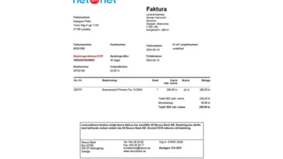Sweden NetOnNet Purchase Invoice Template in word and pdf format