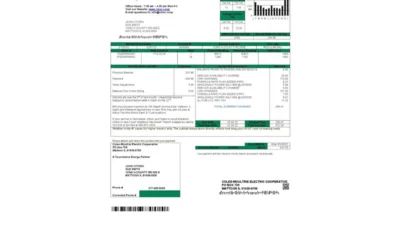USA Coles – Moultrie Utility Bill Template In Word And PDF Format