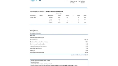 Montenegro Elektroprivreda Crne Gore (EPCG) Electricity Utility Bill Word And PDF Template