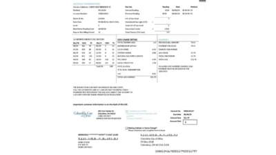 Free Download USA Columbia Gas of Ohio utility bill template Proof OF Address in Word and PDF format