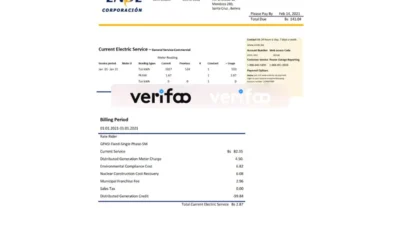 Bolivia ENDE Corporacion electricity utility bill