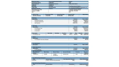 USA Envision Healthcare PayStub Word And PDF Template (6 Pages)