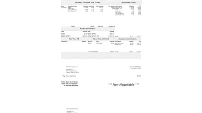 USA Orlo Heirs LLC PayStub Word And PDF Template