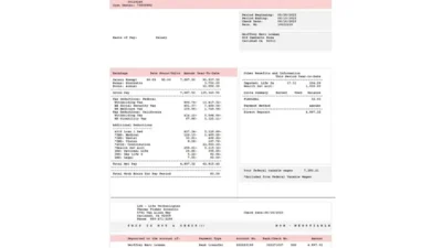 USA Thermo Fisher Scientific Earnings Statement Word And PDF Template (2 Pages)