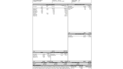 USA Memorial Hermann Health System Paystub Word And PDF Template