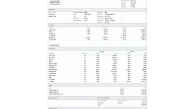 USA Nashville K-9 LLC Paystub Template In Word And PDF Format