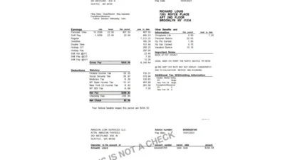 USA NewYork Amazon Pay Stub Template in Word and PDF Format