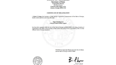 Georgia LLC Certificate of Organization Template in Word and PDF Format