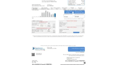 USA Rappahannock Electric Cooperative Utility Bill Word And PDF Template
