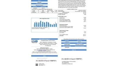 USA Fallbrook Public Utility Bill Template In Word And PDF Format
