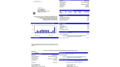 USA Texas Carrollton utility bill template in Word and PDF format