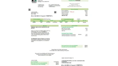 USA Ohio Lorain-Medina Rural Electric utility bill template