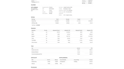 USA FullBloom Paystub Word And PDF Template
