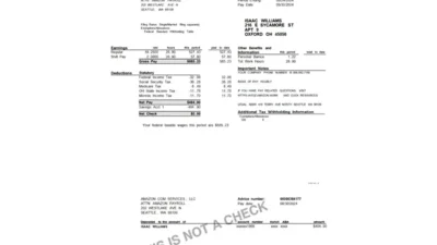 USA Ohio Amazon Pay Stub Template in Word and PDF Format