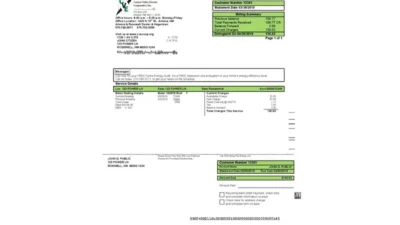 USA New Mexico Electricity Utility Bill Word And PDF Template