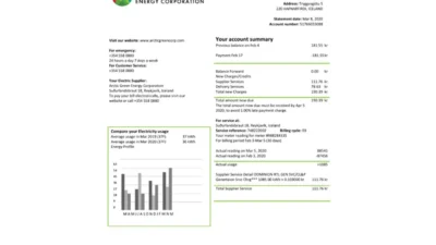 Iceland Arctic Green Energy Corporation Electricity Utility Bill Word and PDF Template