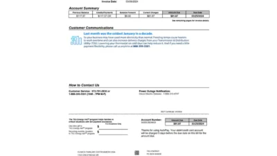 Canada TXU Energy Utility Bill word And PDF template (2024 Version)