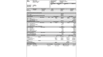 USA Frito-Lay Inc PayStub Template In Word And PDF format