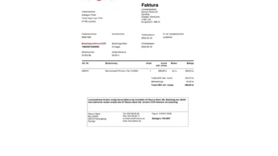Sweden NetOnNet Invoice Template in Word And PDF Format