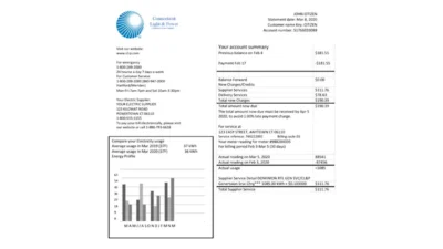 USA Connecticut Light & Power electricity utility bill in Word and PDF format